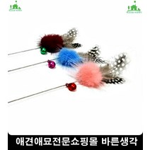 잽싼고양이손쉽게놀아주는가벼운 고양이용품샵 아기고양이장난감 고양이키울때