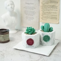 육각마블 선인장 샤쉐스톤 석고방향제 +리필오일 5ml 인테리어소품, 웨딩데이, 버건디, 꽃선인장