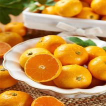 제주 산지직송 하우스 감귤 4.5kg 대과L_2L, 없음