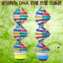제일컴퍼니 회전하는 DNA 입체 모형 오르골 과학키트 과, 1
