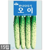 얼룩이 강낭콩 씨앗 70립 - 씨 강낭콩씨 강낭콩씨앗 콩씨 콩씨앗 강남콩씨앗 주말농장 텃밭, 04_만나다다기오이(15립)
