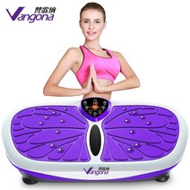 음파진동기 운동기구덜덜이효과 파워플레이트운동 중력가속운동기구 쉐이크보드 음파운동기 운동기구덜덜이 덜덜이 덜덜이효과 진동운동기효과, 무선리모컨/지압/99단/ 3D 음악 / 보라