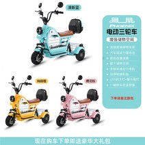 강아지전기자전거 등하교 애견동반 스쿠터, 12A 리튬 배터리 약 40km[인기]