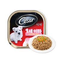 시저 시저캔 쇠고기와 달걀 100g-1세이하 (24개입), 1개