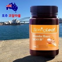 호주직구 마누카꿀 허니 MGO 20+ 500g 100% 천연꿀 스프링리프