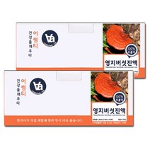 중저온추출 16시간 국산 영지버섯 차 즙 진액 100ml x 30포, 2박스