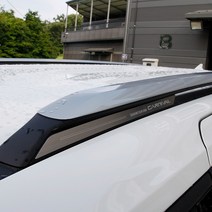 카니발 KA4 4세대 루프 포인트 메탈 몰딩, 실버 4P