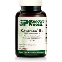 표준 공정 Cataplex B2 - 칼슘 락테이트 리보플라빈 밀 세균 콜린 등을 포함한 전체 식품 신경계 보충제 신진대사 뇌 보충제 및 간 지지제 - 360정, 360 Count (Pack of 1)