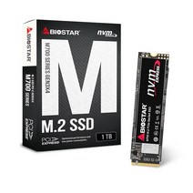 바이오스타 M700 M.2 2280 SSD (1TB NVMe) 이엠텍, 0GB, 선택하세요