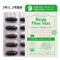 뉴트리랩스 브레인 포스 맥스 뇌 영양제 ps 300mg 포스파티딜세린 메모라이즈 은행잎추출물 피에스 기억력 집중력 인지력 개선 수험생 성장기 청소년 중년 장년 노년 건강 추천, 2개, 1개당 1200mgX60캡슐