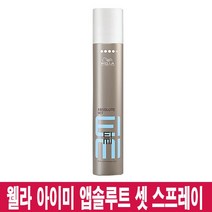 웰라 아이미 앱솔루트 셋 스프레이 500ml/헤어스타일링