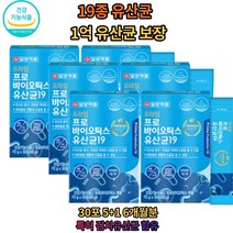 프락토올리고당 프리바이오틱스 김치 유산균 파우더 치커리뿌리 추출물 살아있는