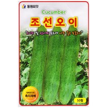 조선 오이씨앗 50립, 단품