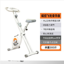 나혼자산다 박나래 사이클 실내 사이클 자전거 스피닝 유산소 운동 기구 헬스자전거, 오렌지