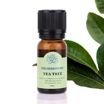 티트리 아로마 에센셜 오일 12ml 올리브오일 아로마오일 바디오일 피로 족욕 마사지오일 페