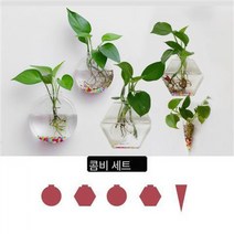 유리 꽃병 녹라수배 식물 벽 작은 프레시 미니 스몰 용기 걸이 어항 화분 벽 걸이 투명, 콤비세트6+헴펜슬*5+스톤*5