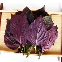 유기농 자소엽 차조기 차즈기 자소잎 생잎 자소엽건초 분말 티백차, 자소엽건초차2봉, 2개