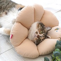 중성화수술후 쿠션보호대 고양이넥카라 강아지디스크 목보호대 애견용품 디스크수술후