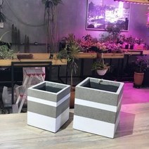 테라스톤팟 화이트 정사각 화분 2개 세트, 단품