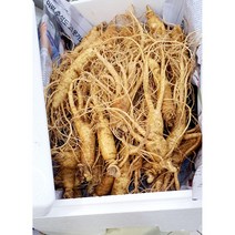 인삼 수삼 막삼 파지인삼 5년근 풍기인삼 3 750g (5채)