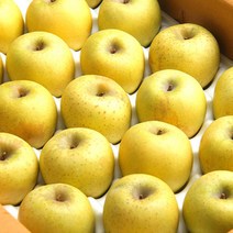 황금사과 (시나노골드) 경북사과 부사 세척사과 아침사과 홍로사과 정품 소과 15~28과 3kg 5kg, (시나노골드) (가정용) 소꼬마과 29-33과(5k)