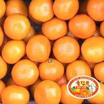 <루시.앤> 제주 귤림원 감귤 1.5kg/3kg/4.5kg / 임금님께 진상하던 그 귤밭이 귤림원이랍니다~, 1.5kg/2S-L/12-25입/60-125g내외” class=”wr-img”></a></div>
</div>
</div>
</div>
<div class=