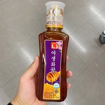 초이스엘 야생화꿀 500g