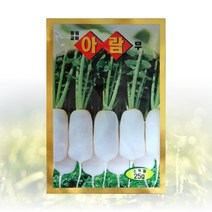 농사친구 아람 무 25g 씨앗 동원 씨 종자 김장 쪽파 고사리 항암 배추, 25g 1봉