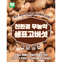 강원도 영월 무농약 표고 버섯, 1, 650g(하품)