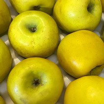 경북직송 황금사과 시나노골드 노란 부사 가정용 쥬스용 흠집 못난이 사과 3kg 5kg 10kg