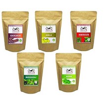 Metrol 메트로 시카카이 AMLA 암라 히비스커스 BHRINGRAJ NEEM 파우더각 100GM