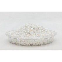 식물시간 작은 백자갈 2.5kg 화분 장식 하얀 돌 수족관 돌멩이