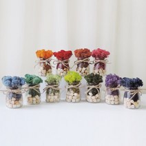 스칸디아모스 공기정화식물 편백 쁘띠 화분 DIY 만들기키트 (11colors), 모스그린