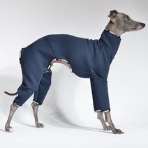 [Clearance] 막스플레이 스피드 레이싱 수트 기모저지 올인원 슬림핏 롬퍼 네이비 이탈리안그레이하운드옷 아이쥐옷