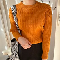 여성 미니 꽈배기 니트 라운드 티셔츠 겨울