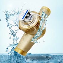 수도계량기 50mm 원격식 수도미터 원격검침 전자식 원격지시부 교체용, 계량기 세트(원격지시부 포함)