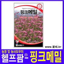 헬프팜 핑크메밀 20립 세계종묘 메밀씨 종자 씨앗