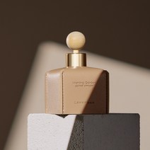 르몽도르 차량용 방향제 차량방향제 고급차량용디퓨저 자동차디퓨져 50ml 새차 신차선물, 레더50_모닝가든