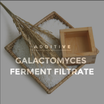갈락토미세스 발효여과물 100ml