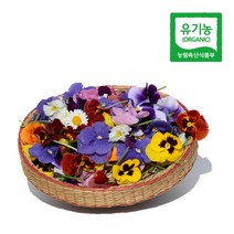 먹는꽃 싱싱함이 오래가는 유기농 식용꽃 30송이 식용 화전 재료 대용량 파는곳 생화 종류 모듬 식용화 혼합 팬지