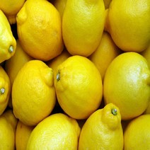 레몬 정품 팬시레몬 1kg 2kg 5kg 10kg 17kg, 07.흠과/5kg, 대과
