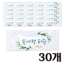 손세정티슈, 100개, 10g