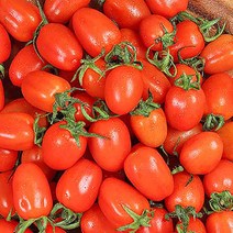 대추방울토마토, 1팩, 750g