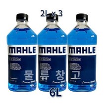 말레 에탄올 워셔액 청포도향, 2개, 6L