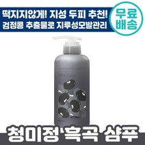 청미정 흑곡 샴푸 500ml 극 지성 지루성 두피 염 검정콩 보리씨 추출물 냄새 잡는 천연 사춘기 건조 모발 환절기 머리카락 자연 유래 임산부 아기 샴프 삼푸 프리미엄 기능성 정품, 2개입