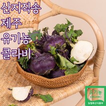 산지직송 유기농 제주 콜라비 제주도콜라비, 유기농콜라비_3kg