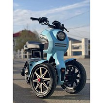 삼륜 전동스쿠터 3륜 어르신 자전거 전동차 바이크 전기 오토바이, 멜란지그레이