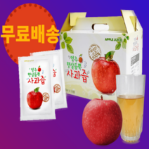 영주 햇살듬뿍 명품 사과즙 100ml 50팩