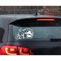 자동차스티커 면허괜히땄어영 초보운전 화이트 차량스티커