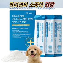 펫생각 강아지 고양이 면역 4세대 유산균 장건강 애견들 설사할때, 1개월